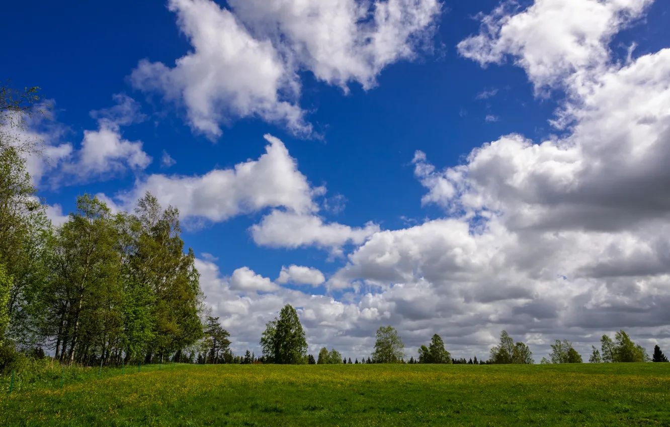 Photo wallpaper greens, field, summer, the sky, clouds, trees, nature, green