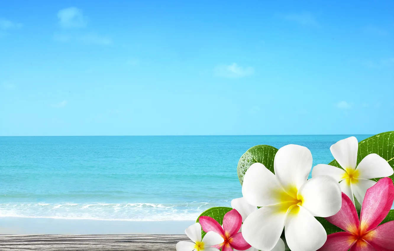 Photo wallpaper sand, sea, beach, summer, flowers, summer, beach, sea