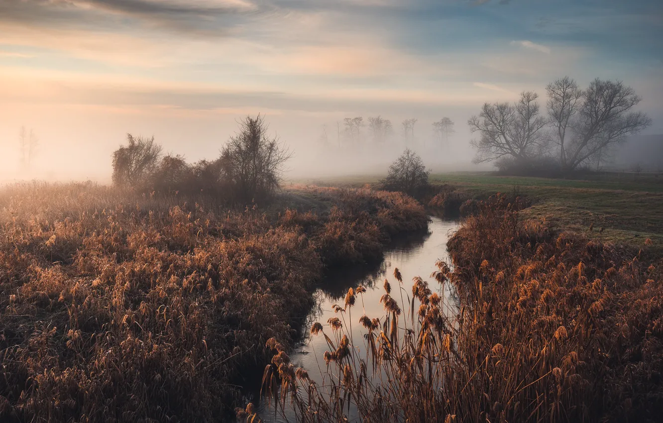 Photo wallpaper autumn, river, thickets, shore