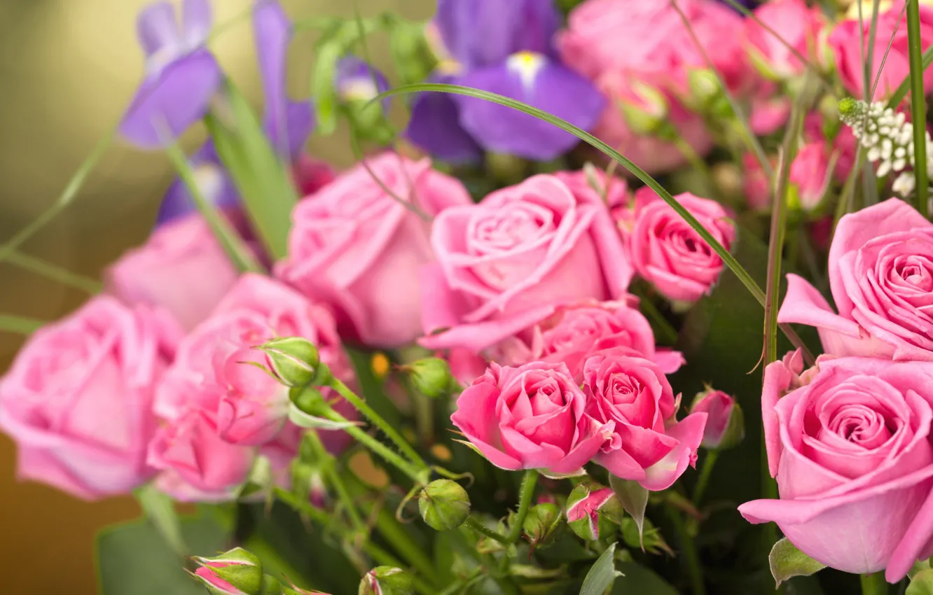 Photo wallpaper background, roses, bouquet, buds, iris