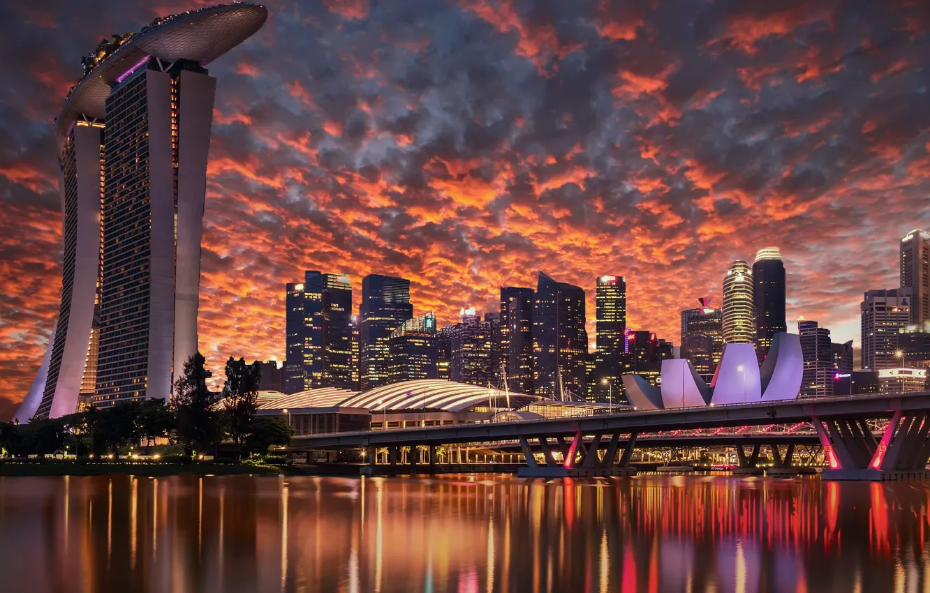 Photo wallpaper lights, the evening, Singapore
