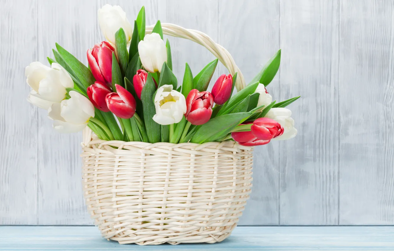 Photo wallpaper flowers, bouquet, tulips, red, white, wood, flowers, tulips