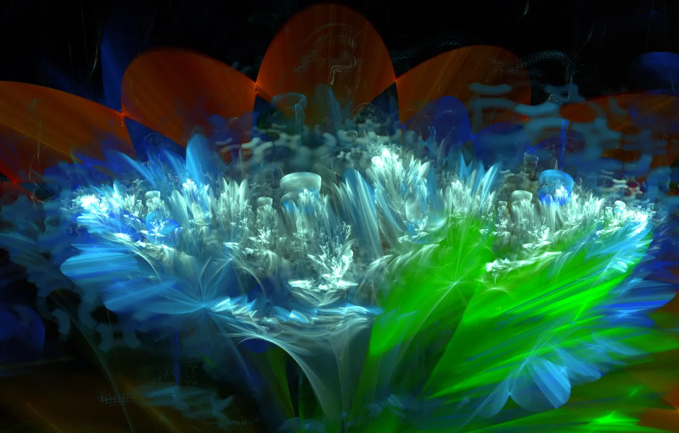 Photo wallpaper leaves, light, flowers, nature, fiction, petals