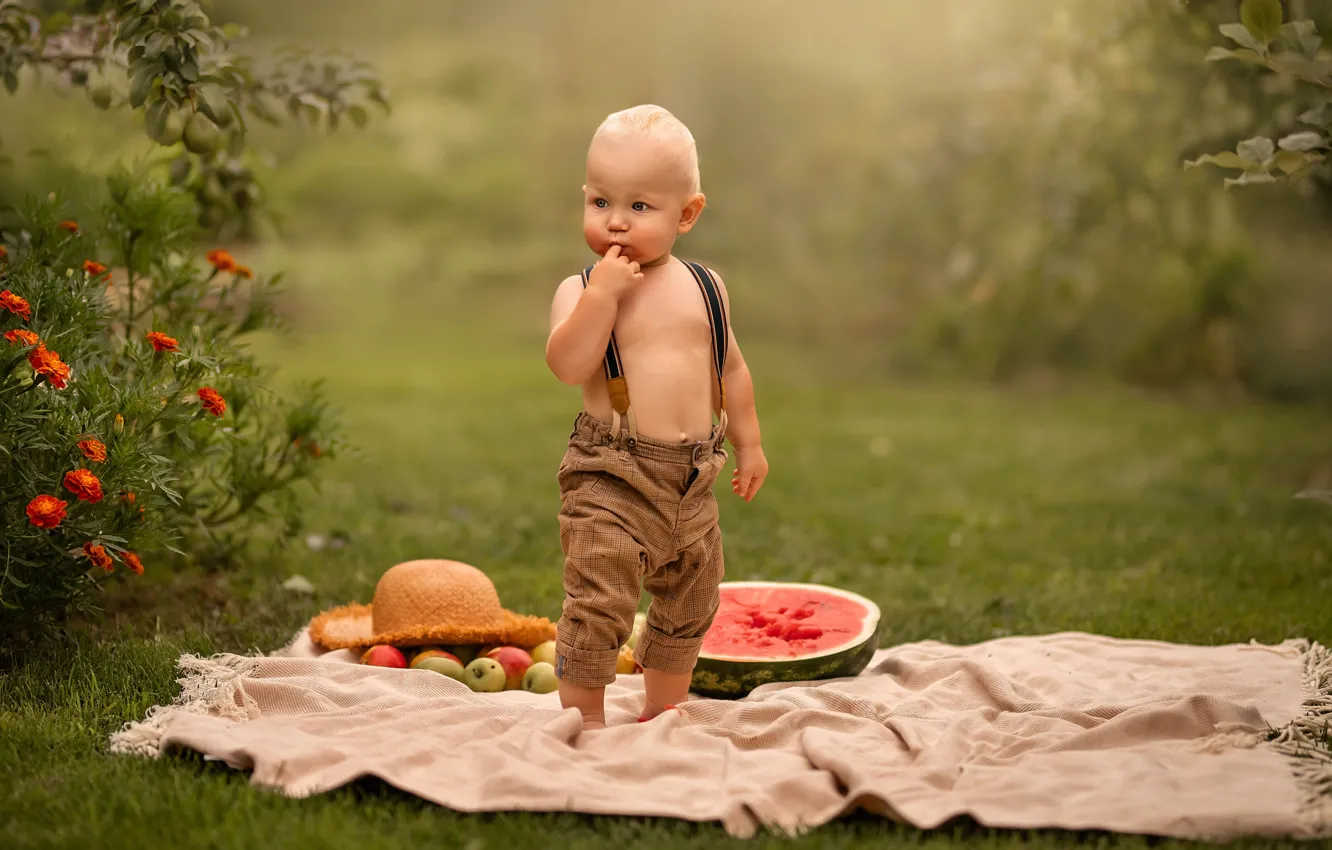 Photo wallpaper glade, boy, watermelon, Elena Chernihiv