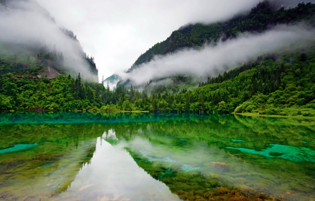 Photo wallpaper greens, forest, clouds, surface, mountains, lake, pond, surface