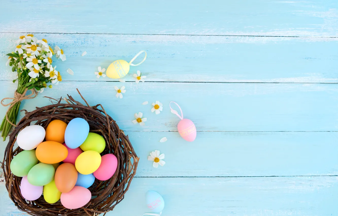 Photo wallpaper flowers, holiday, chamomile, eggs, Easter, socket