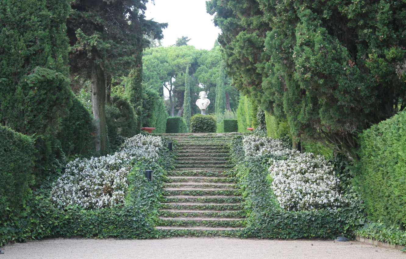Photo wallpaper garden, ladder, Spain