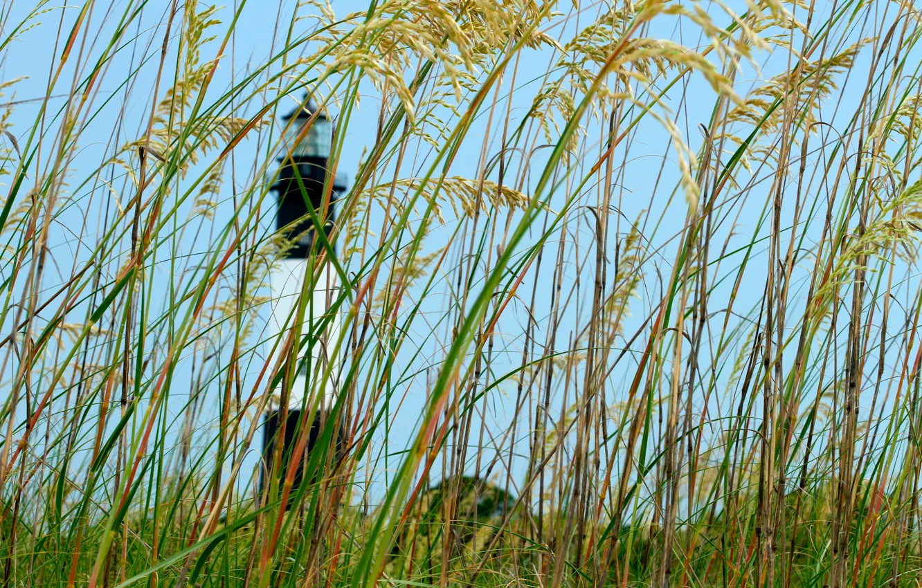 Photo wallpaper the sky, grass, lighthouse