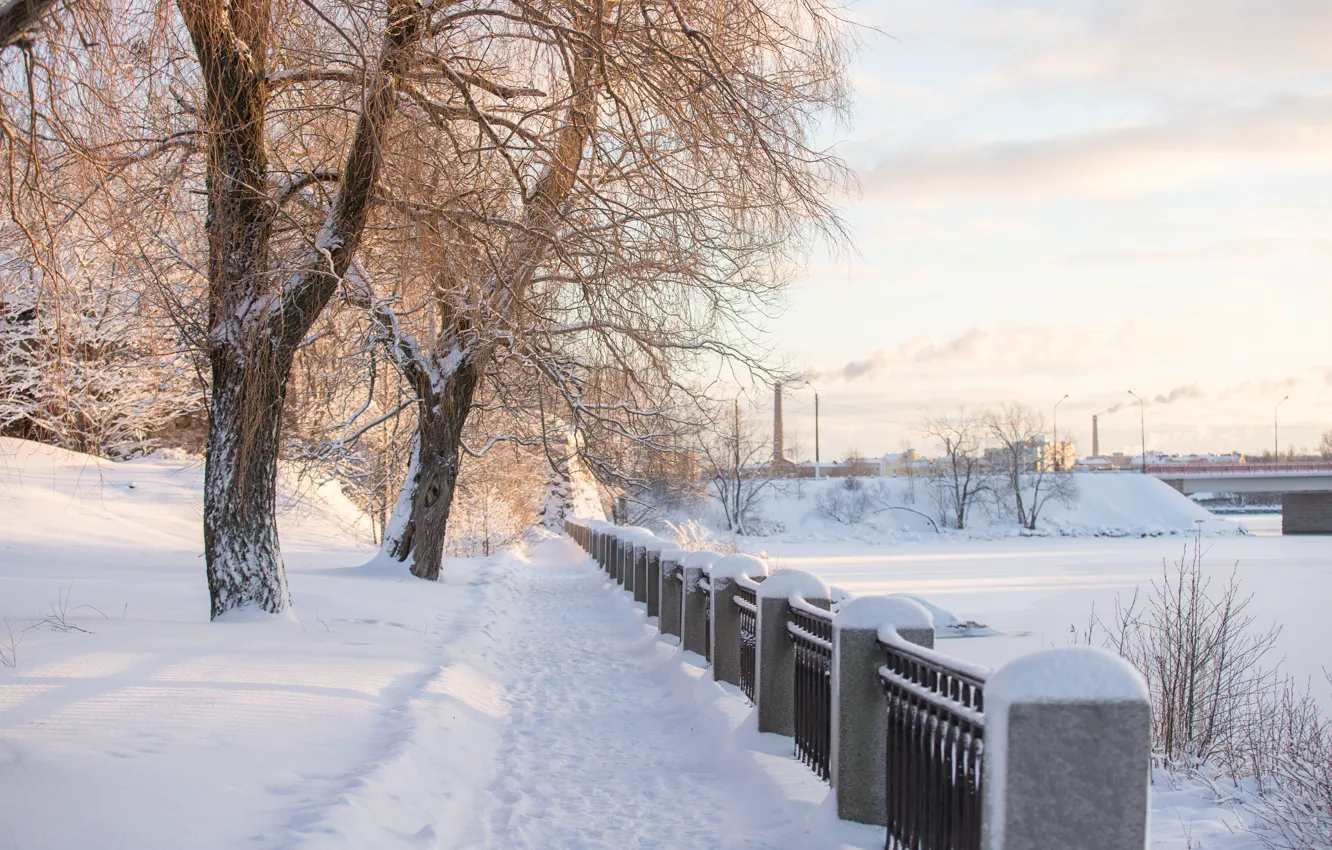 Photo wallpaper winter, snow, trees, river, dawn, morning, Peter, frost