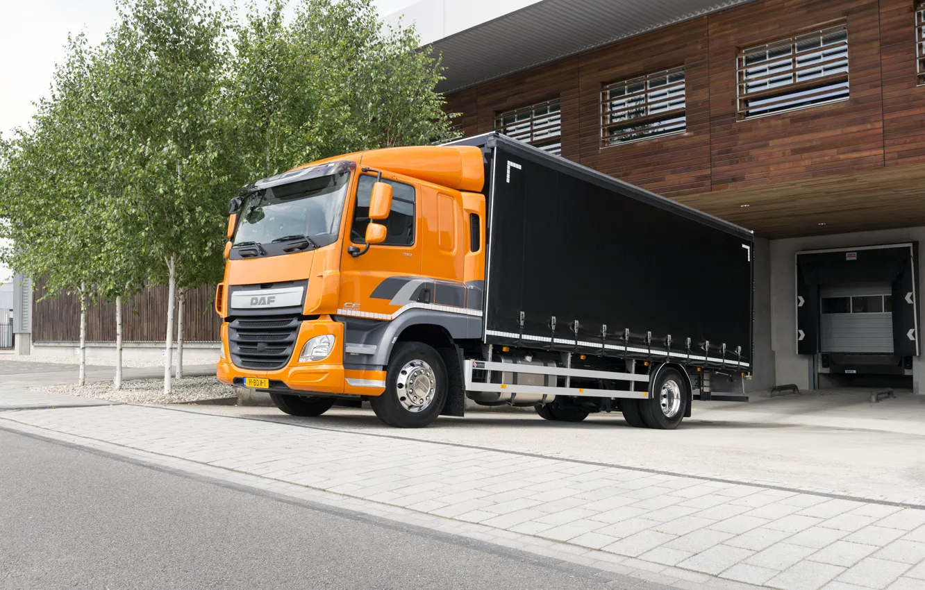 Photo wallpaper trees, orange, composition, the sidewalk, body, DAF, DAF, platform