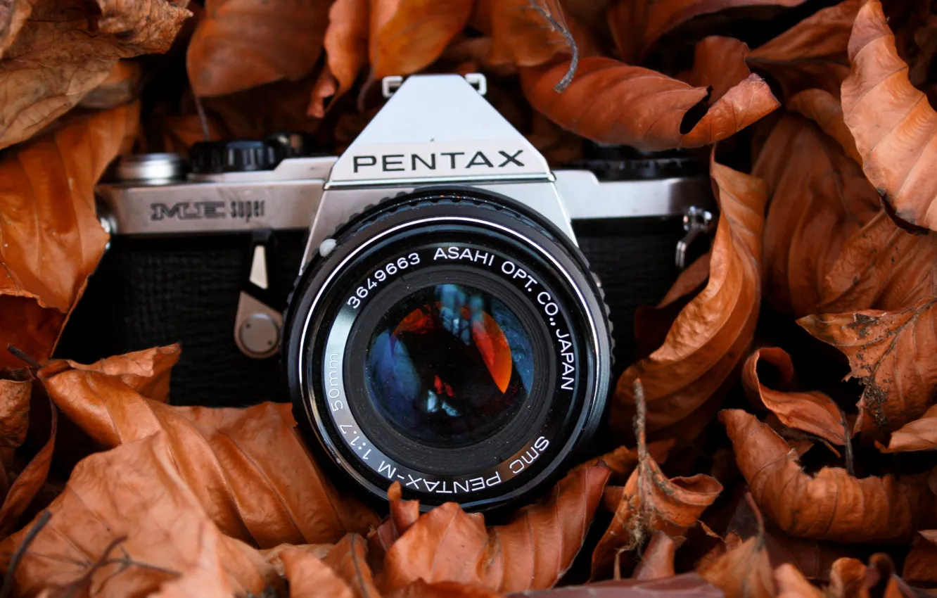 Photo wallpaper macro, background, camera