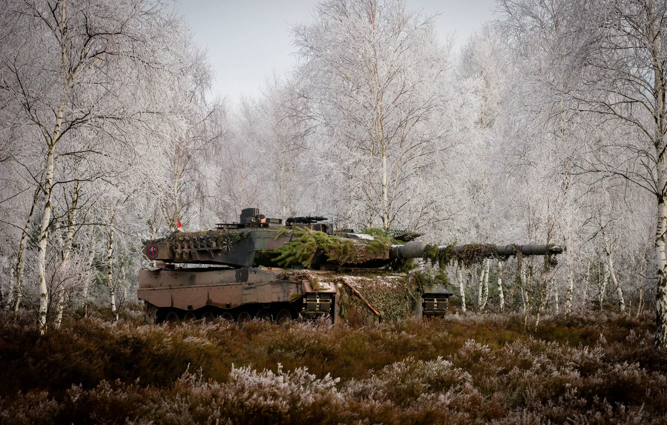 Photo wallpaper forest, grass, trees, tank, combat, Leopard 2A6M