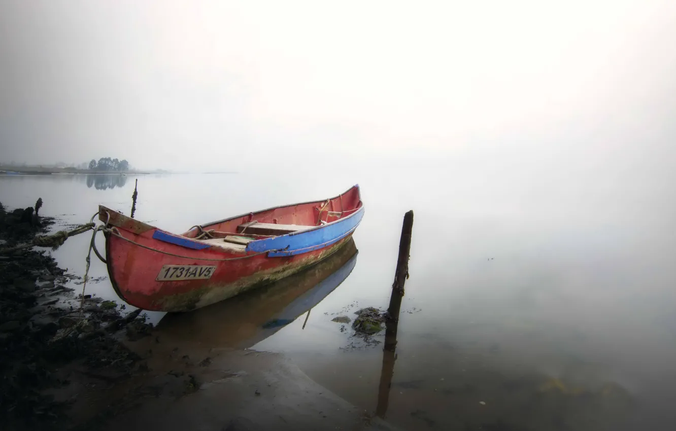Photo wallpaper fog, shore, boat