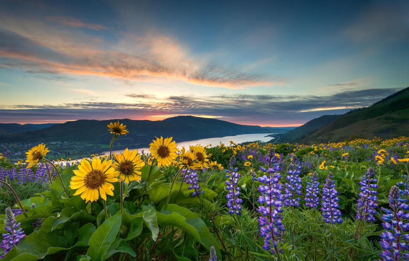 Photo wallpaper landscape, sunset, flowers, mountains, nature, river, Oregon, USA