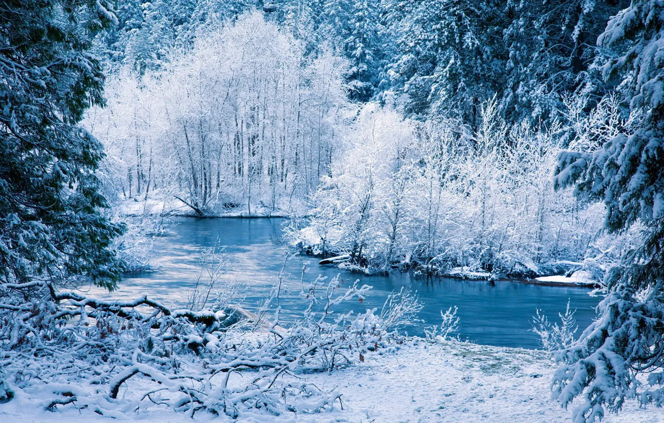 Photo wallpaper FOREST, NATURE, SNOW, WINTER, TREES, RIVER
