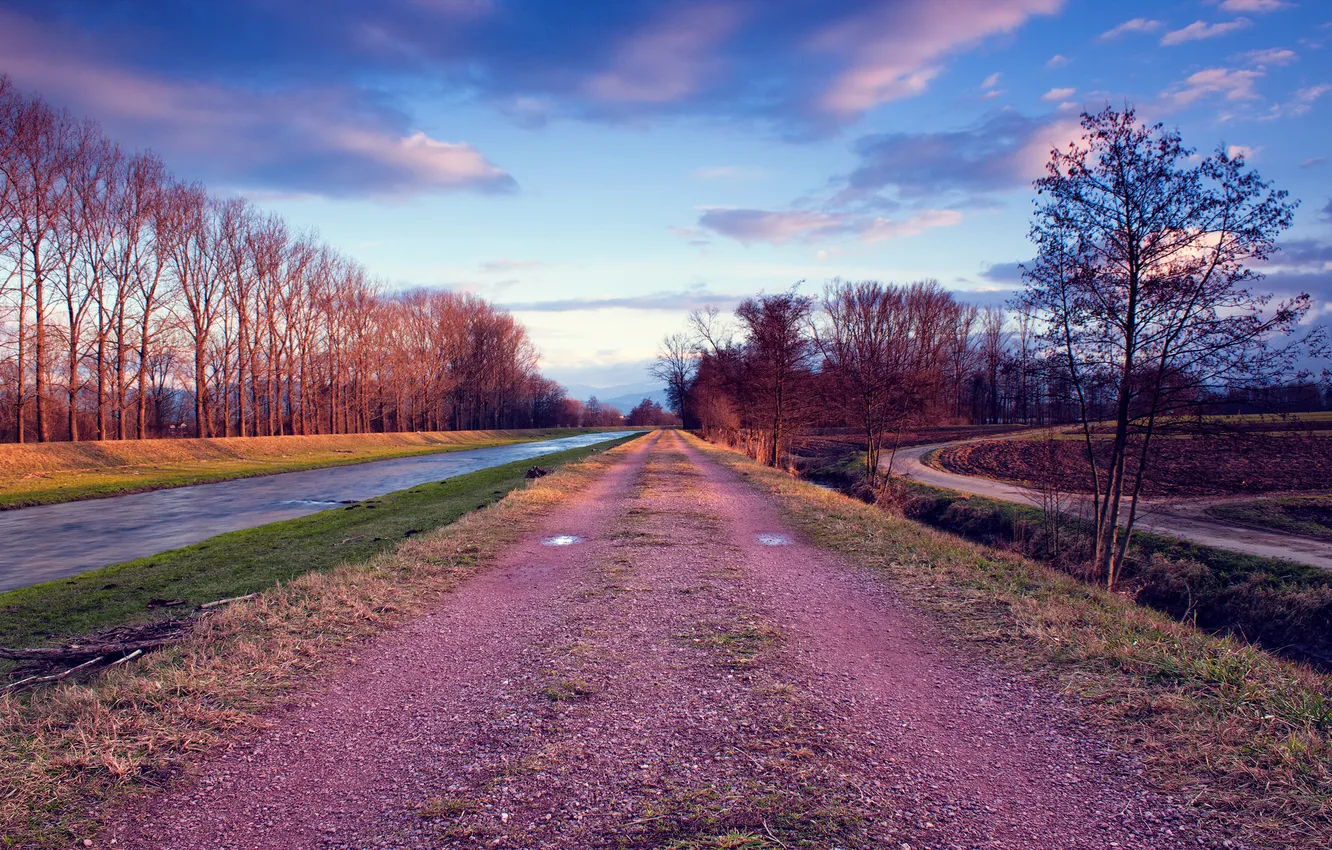 Photo wallpaper road, field, the sky, clouds, trees, the evening