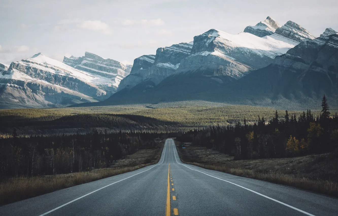 Photo wallpaper road, forest, mountains