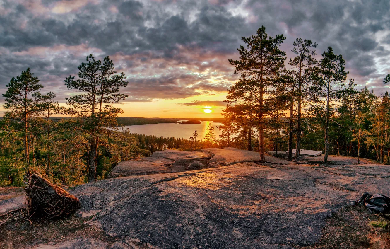 Photo wallpaper forest, trees, sunset, lake, pine, Finland, Finland, Lake Church Lake