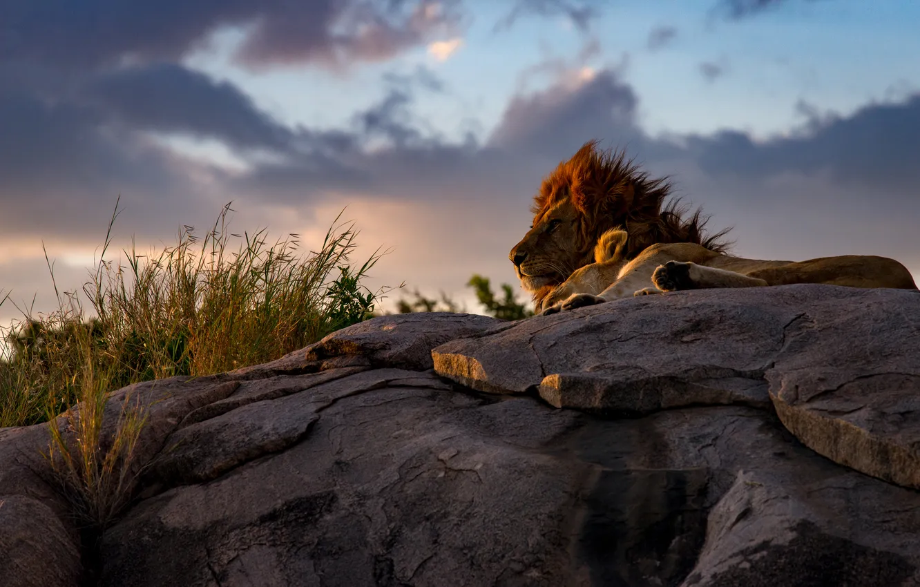 Photo wallpaper the sky, clouds, sunset, stones, rocks, stay, Leo, the evening