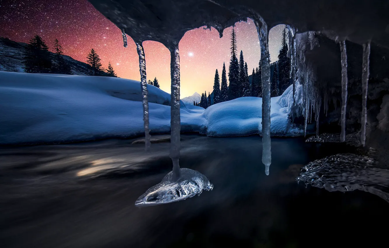 Photo wallpaper winter, forest, stars, snow, night, shore, view, icicles