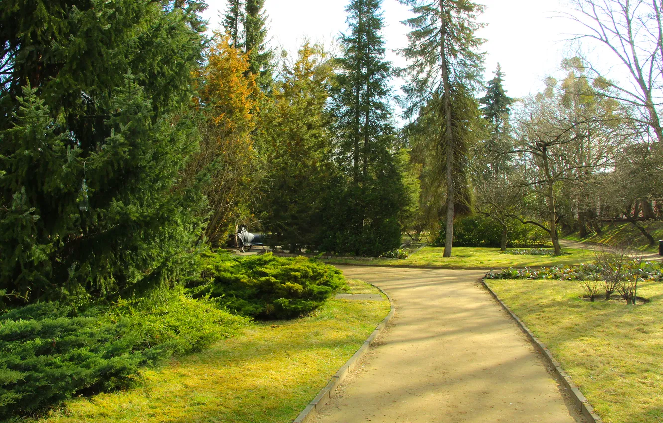 Photo wallpaper green, trees, park, plants, alley