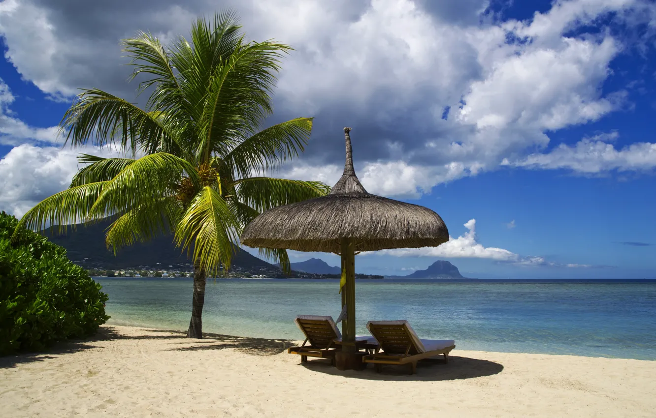 Photo wallpaper sand, sea, beach, tropics, palm trees, shore, summer, beach