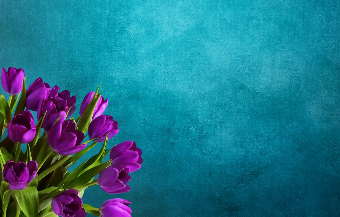 Photo wallpaper flowers, background, bouquet, tulips