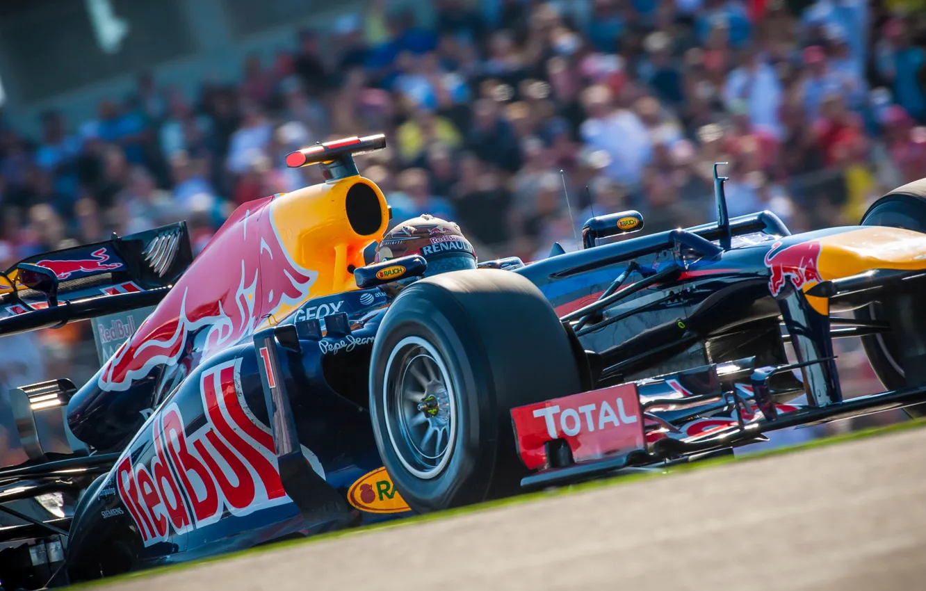 Photo wallpaper USA, Formula 1, Red Bull, Vettel, Champion