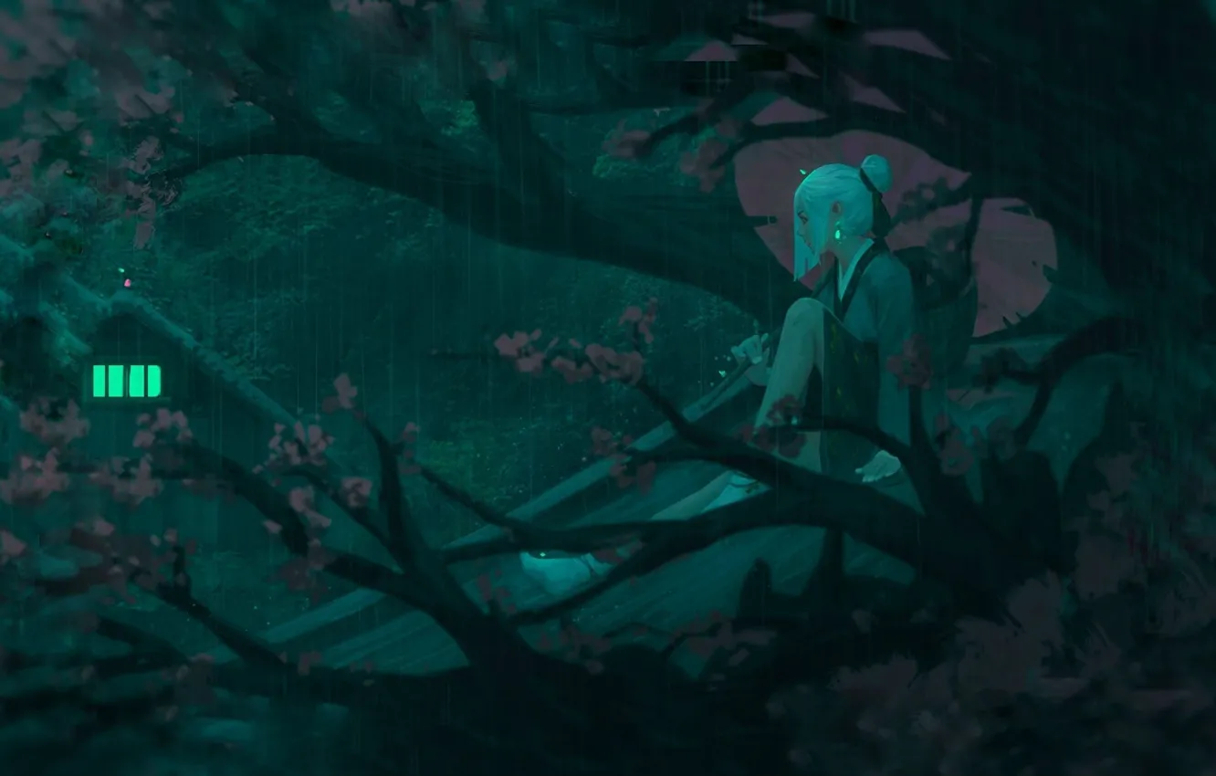 Photo wallpaper girl, night, branches, umbrella, Japan, Sakura, art, the light in the Windows