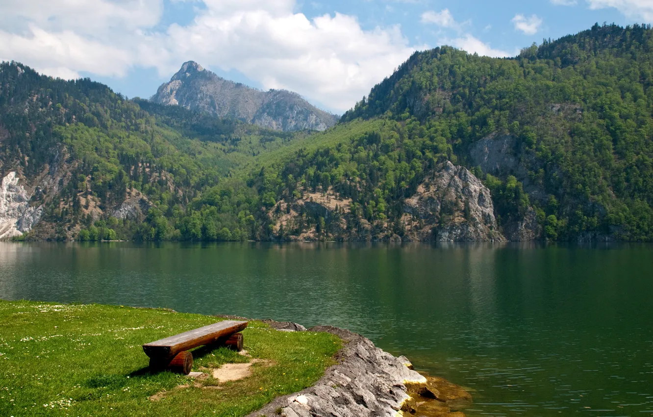 Photo wallpaper forest, clouds, trees, mountains, lake, shore, Austria, shop
