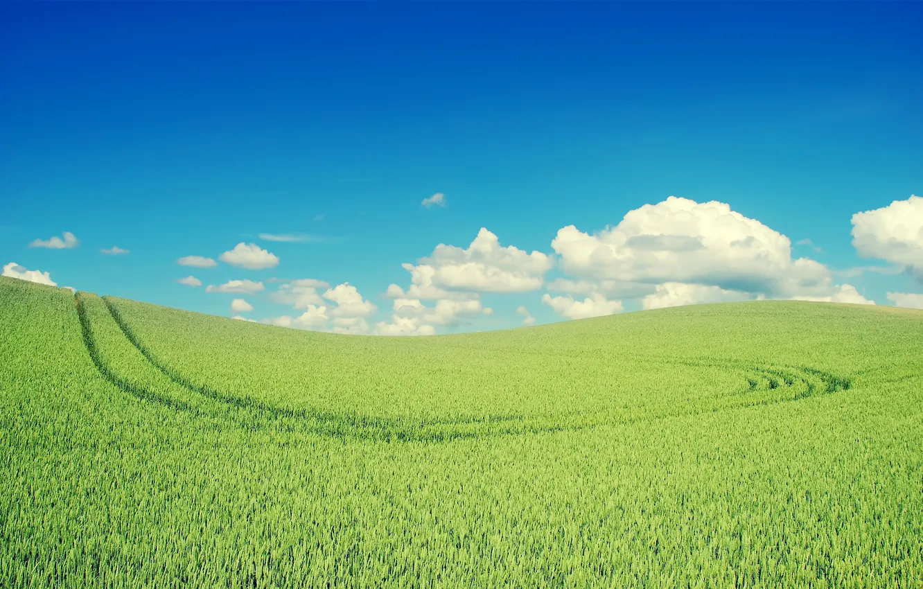 Photo wallpaper field, the sky, the sun, 2560 x 1600