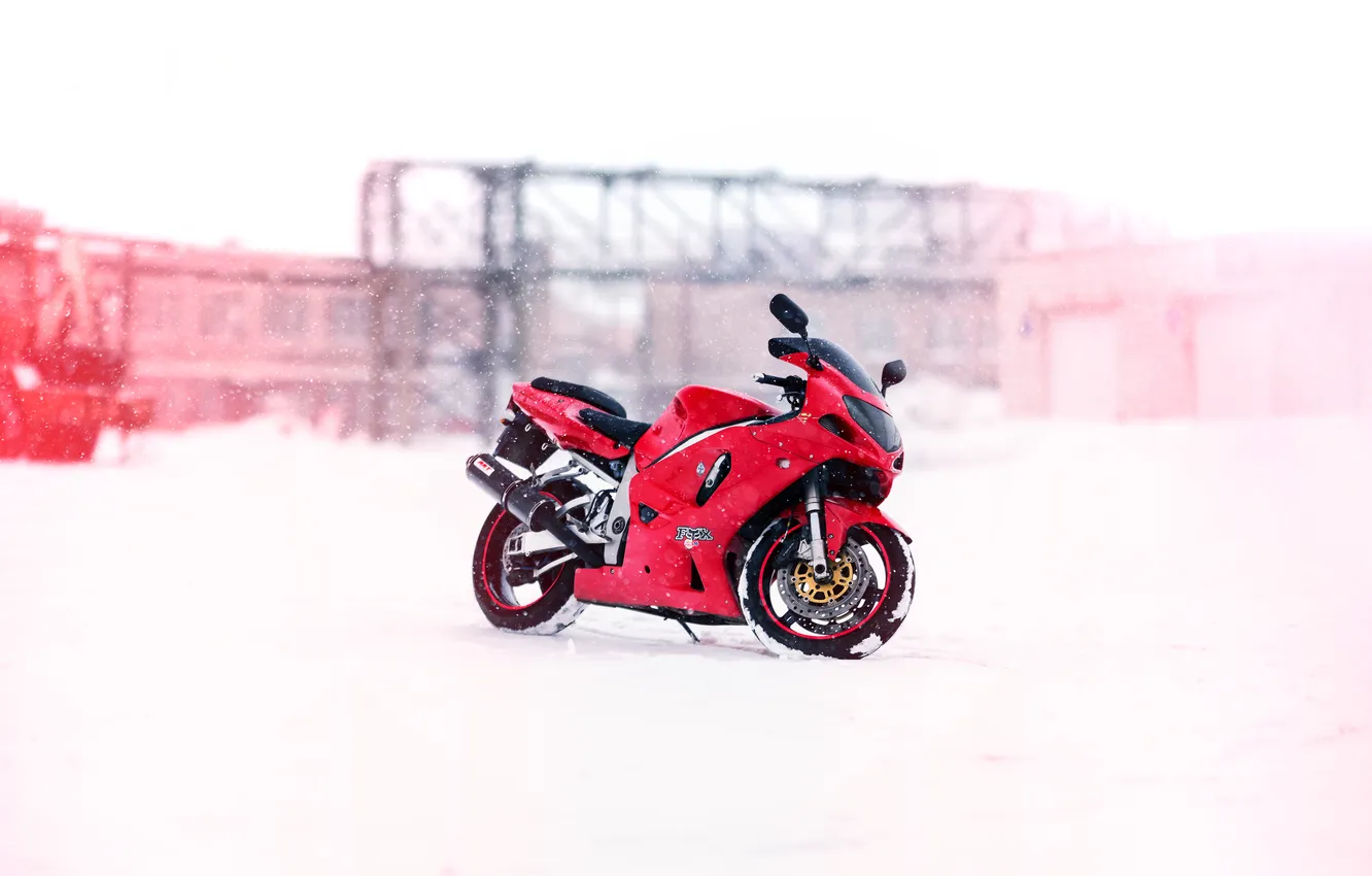 Photo wallpaper winter, snow, plant, motorcycle, suzuki