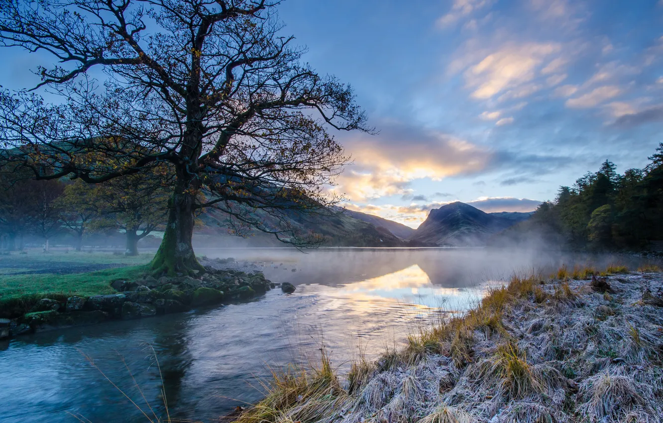 Photo wallpaper frost, grass, trees, mountains, river, morning, freezing