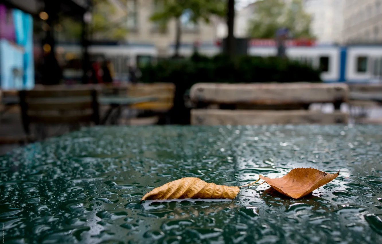 Photo wallpaper Drops, The city, Cafe, Autumn, Leaves, Table, Rain