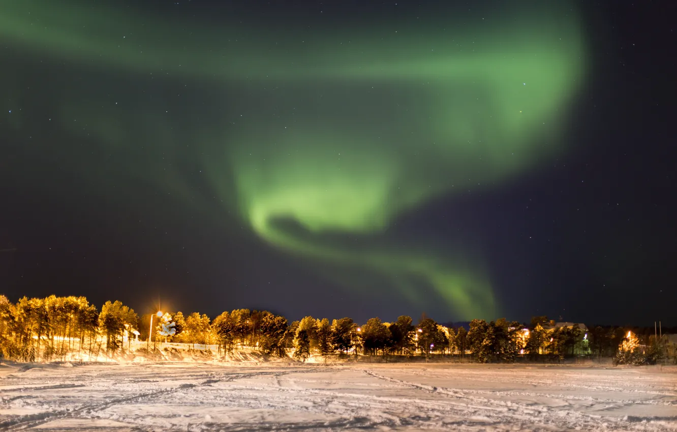 Photo wallpaper light, trees, wood, night, winter, snow, stars, lamp