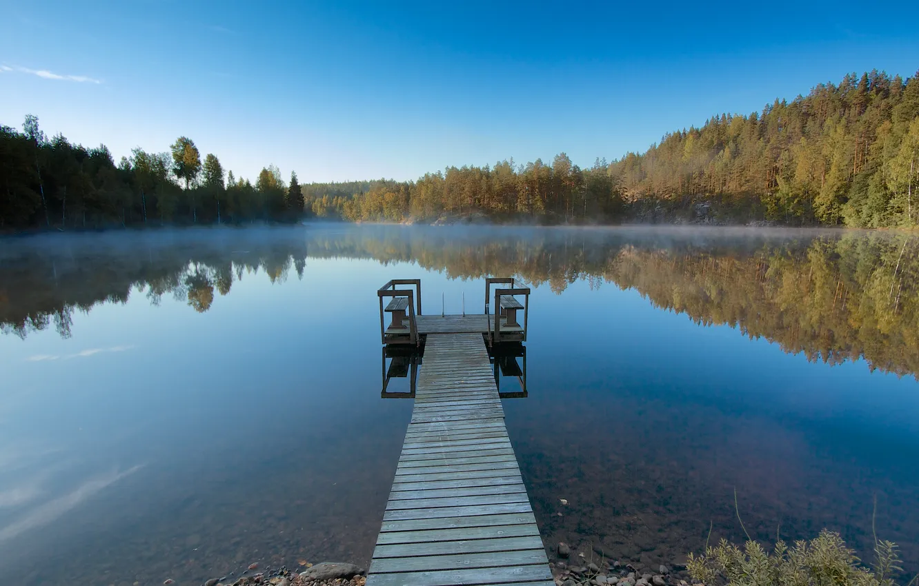 Photo wallpaper forest, the sky, grass, trees, landscape, nature, fog, lake