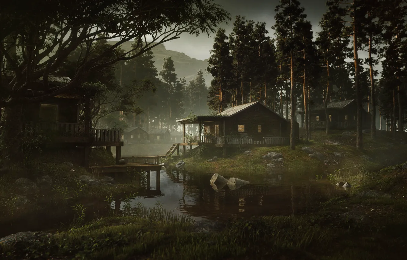 Photo wallpaper forest, mountains, home, pollution, swamp town