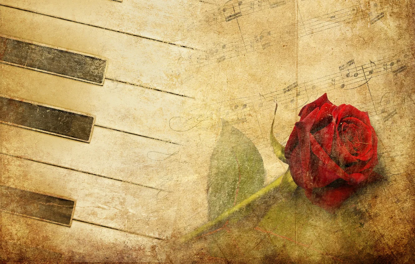 Photo wallpaper flower, rose, red rose, piano, red, vintage, music