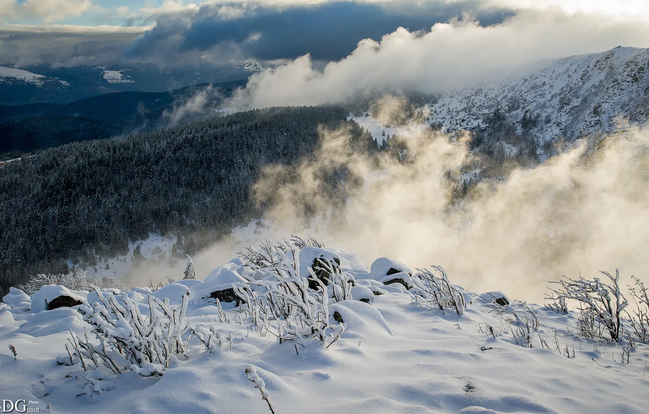 Photo wallpaper forest, Winter, mountains, view, clouds, snow, fog