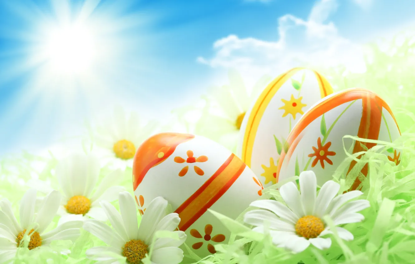 Photo wallpaper greens, the sky, the sun, holiday, blue, chamomile, eggs, Easter