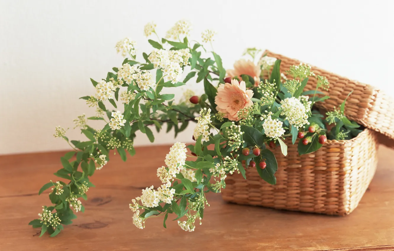 Photo wallpaper flower, basket, petals, flowers