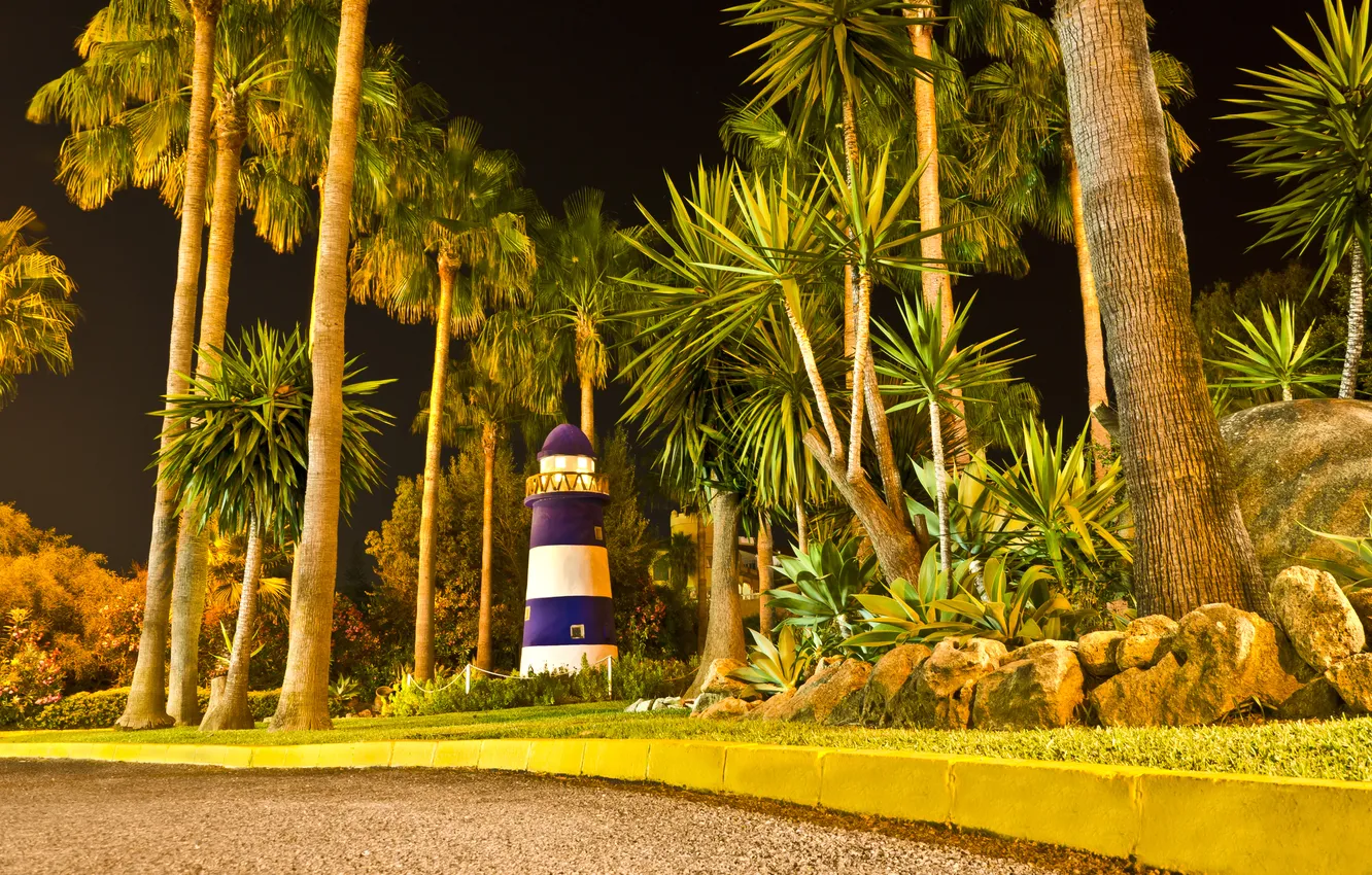 Photo wallpaper road, light, night, tropics, Park, Palma, lighthouse
