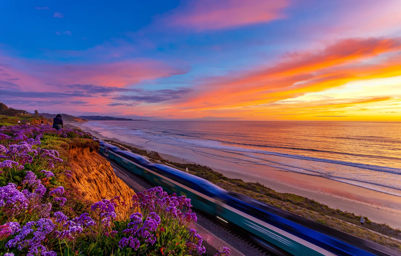 Photo wallpaper sunset, flowers, the ocean, coast, CA, Pacific Ocean, California, The Pacific ocean