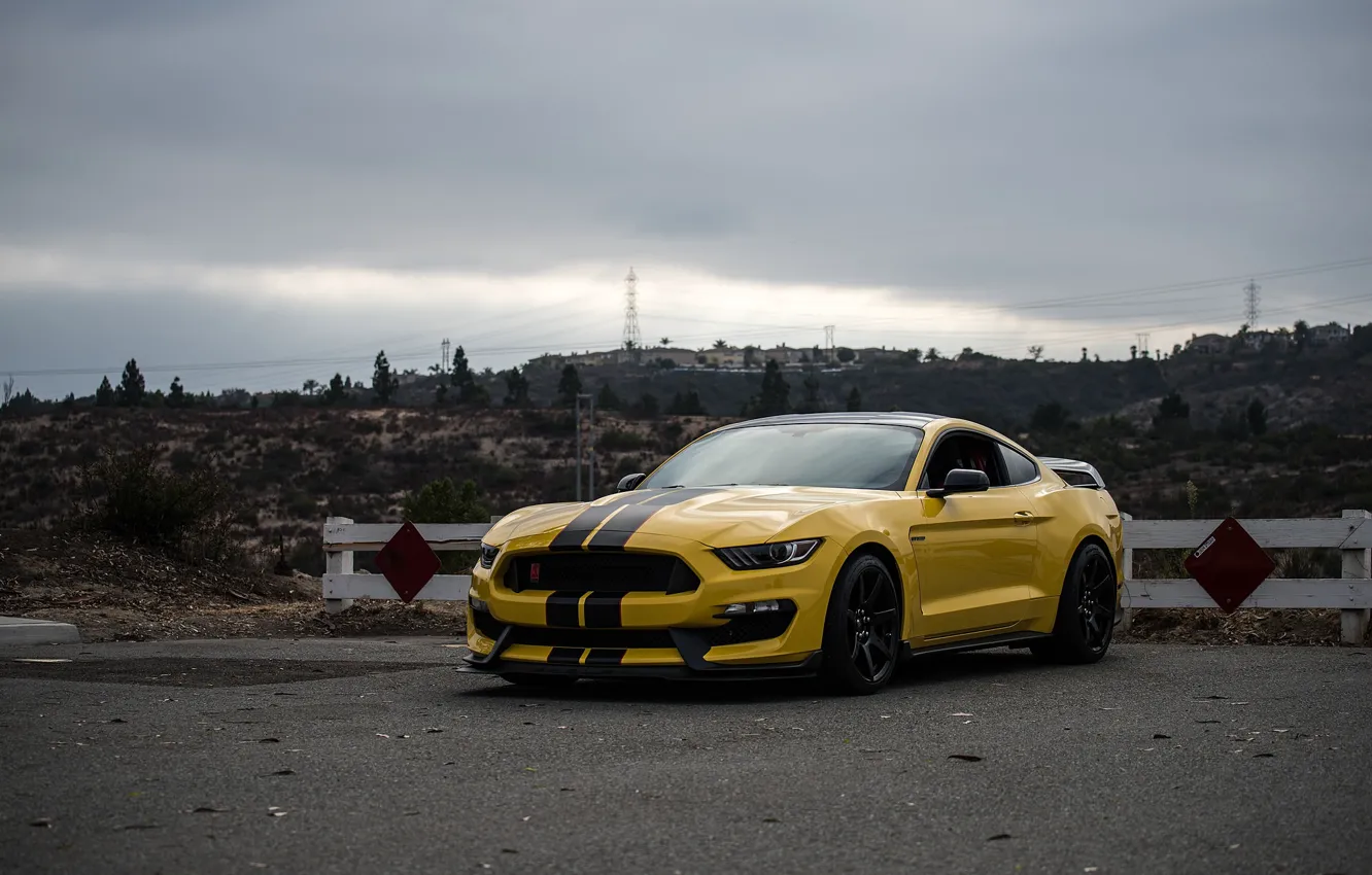 Photo wallpaper Mustang, Ford, Shelby, Yellow, GT350R, 2016