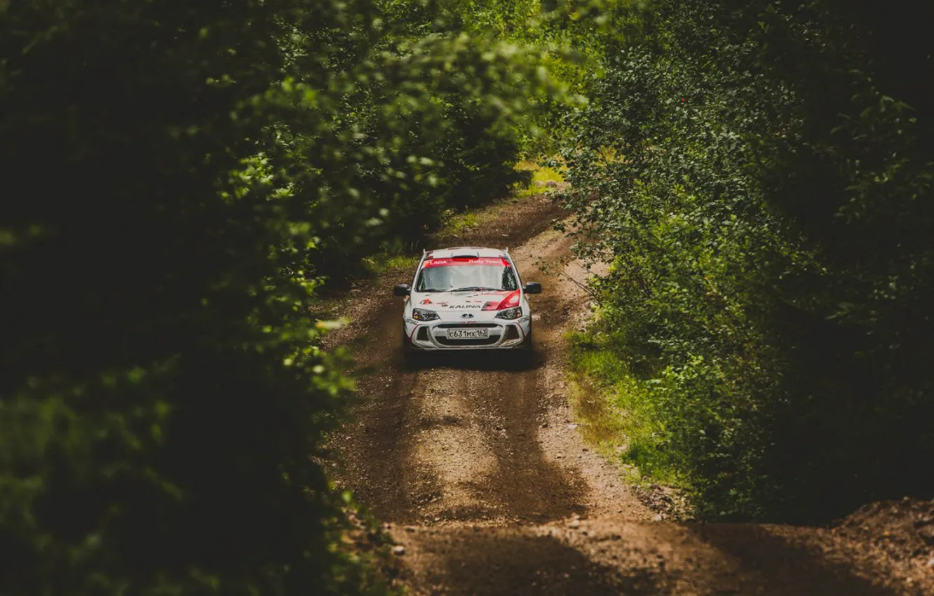 Photo wallpaper The sun, Road, Trees, Forest, Dirt, Day, Track, Foliage