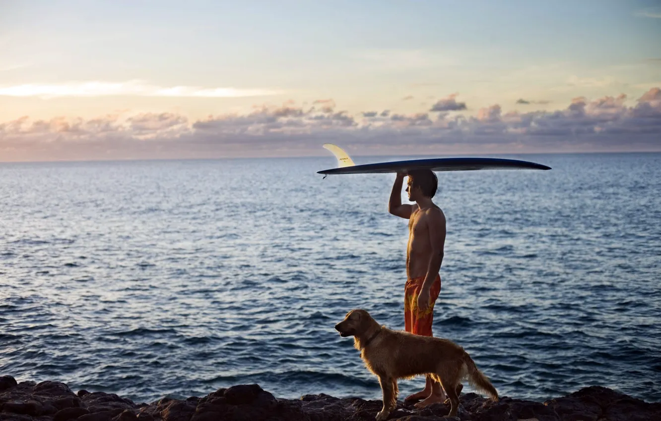Photo wallpaper sea, the sky, clouds, the ocean, shore, coast, sport, dog
