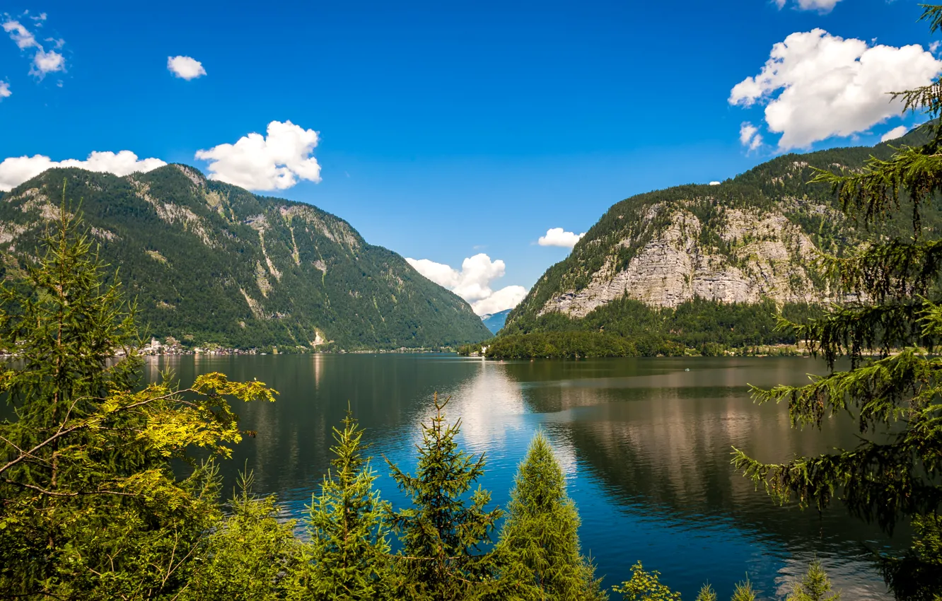 Photo wallpaper forest, trees, mountains, lake, rocks, Austria