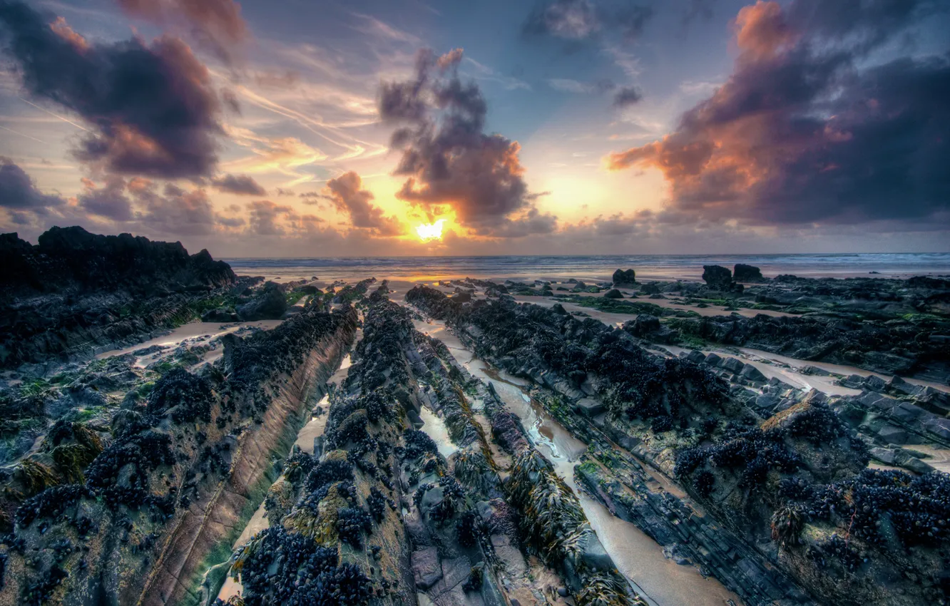 Photo wallpaper sea, the sky, the sun, stones