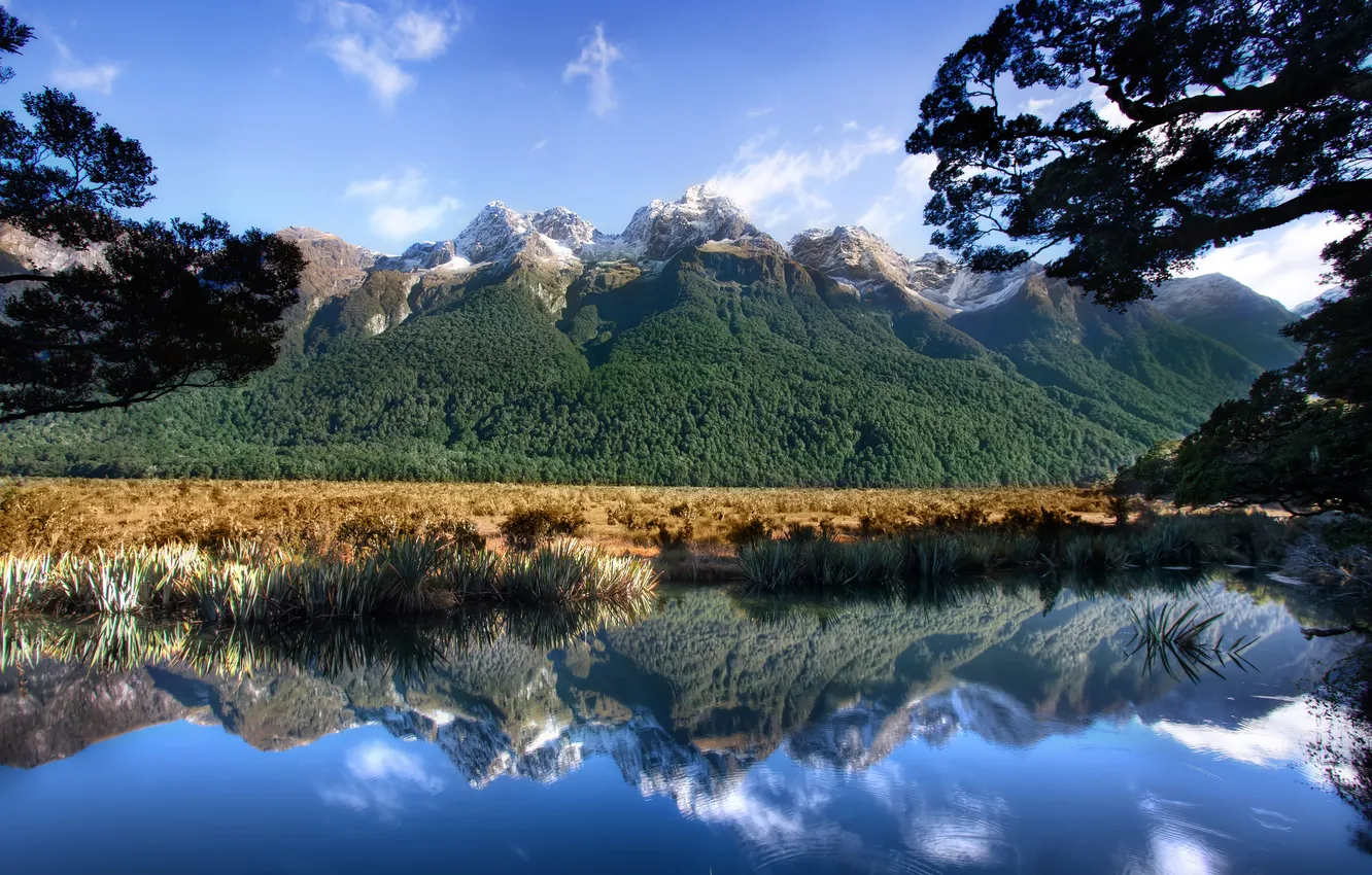 Photo wallpaper forest, the sky, mountains, nature, lake