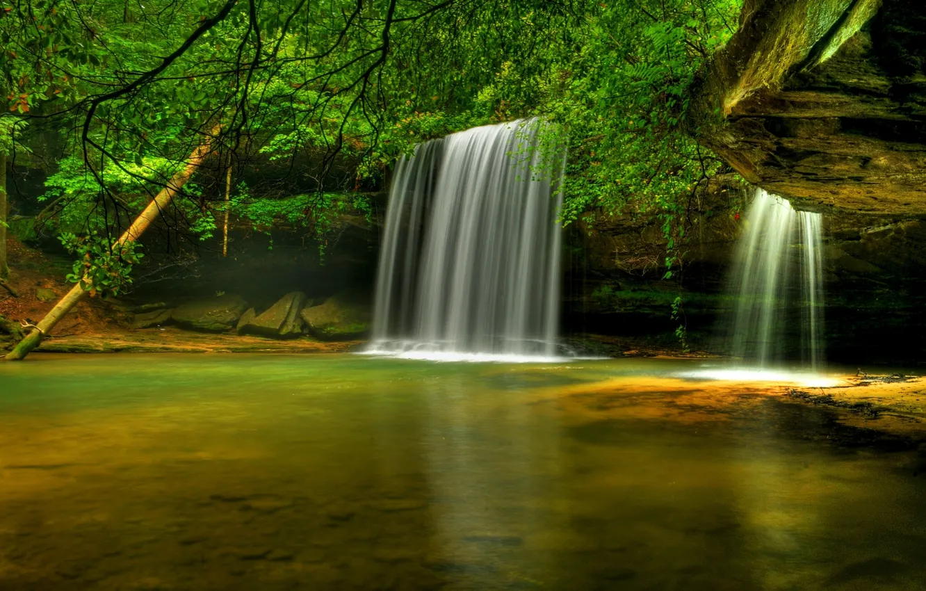 Photo wallpaper trees, river, waterfall, Alabama, Bankhead National Forest, Caney Creek Falls